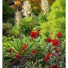 Kalenderwoche 37 im September. Montags bis sonntags vom 13. bis 19. abgebildet. Rote Dahlien im lebhaften Garten.