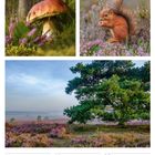 30 Mo, 31 Di, 01 Mi, 02 Do, 03 Fr, 04 Sa, 05 So, 35. Woche 2027, aug/sep. Kalendarblatt mit Naturmotiven: Pilz, Eichhörnchen, Heide.