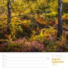 35. Woche, August/September 2027, 05 So. Landschaft mit Bäumen und lila Heidekraut im Sonnenlicht, grüne und orange Farne.