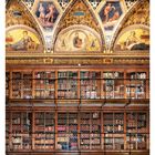 38 September, Mo 20, Di 21, Mi 22. Prunkvolle Bibliothek mit bemalter Decke und Bücherregalen.