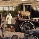 Eine Ziege steht auf einem Lastwagen, umgeben von Menschen und Holzkisten, vor einem Steingebäude.