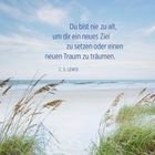 „Du bist nie zu alt, um dir ein neues Ziel zu setzen oder einen neuen Traum zu träumen.“ Strand mit Gräsern.