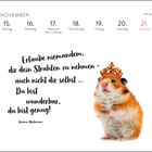 "Erlaube niemandem, dir dein Strahlen zu nehmen - auch nicht dir selbst ... Du bist wunderbar, du bist genug!" Ein Hamster mit Krone.
