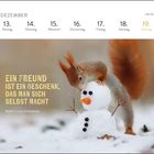 "Ein Freund ist ein Geschenk, das man sich selbst macht." - Robert Louis Stevenson. Ein Eichhörnchen betrachtet einen Mini-Schneemann.