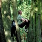 Eine Person sitzt zwischen großen Baumstämmen in einem Wald und schaut nach oben. Eine Jacke hängt am Baum.