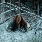 Eine Person kriecht durch einen verschneiten Wald, umgeben von gefallenen Ästen und Bäumen.