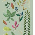 Notizbuch-Abdeckung mit aquarellierten Blättern in verschiedenen Formen und Farben auf hellgrünem Hintergrund.