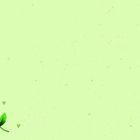 Links unten sind drei grüne Blätter und kleine Herzchen auf einem hellgrünen Hintergrund.