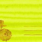 Drei horizontale Linien rechts, stilisierte Blumen links auf gelbem Hintergrund.