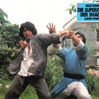 Text: "Die Superfaust der Shaolin". Zwei Männer in Kampfposition, einer trägt Grau, der andere Blau, in einem grünen Außenbereich.