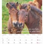 Text: „Zwei Herzen, eine Seele – pure Freundschaft in jedem Blick!“ Kalenderseite für August 2027 mit Fohlen.