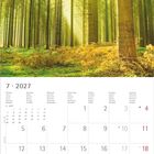 Kalender, Juli 2027. Wald mit Sonnenstrahlen zwischen hohen Bäumen. Unten Monatsübersicht und Notizbereich.