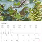 Kalender für August 2027 mit Wochenzahlen. Foto zeigt junge Waldohreule zwischen grünen Blättern.