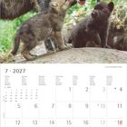 7 · 2027. Kalender mit Bild von drei Wölfen, einem großen und zwei Welpen im Grünen.