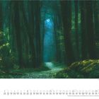 Text: "August", "2024", "Kalender". 
Ein mystischer Waldweg bei blauem Licht mit hohen Bäumen.