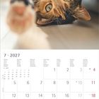 "7 · 2027" steht oben, es ist ein Kalender. Eine Katze liegt entspannt auf dem Boden und schaut in die Kamera.