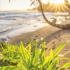 "DUMONT", unten links. Tropischer Strand mit Palmen im Sonnenlicht. Kalender mit Monat Juli unten.