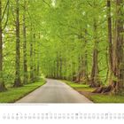 Juli. Kalender mit einer Straße, gesäumt von hohen, dicht belaubten Bäumen, die eine Allee bilden.