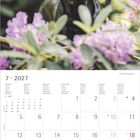Kalender für Juli 2027, mit einem schwarzen Hund, umgeben von lila Blüten. Kalendarium mit Platz für Notizen.