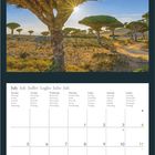 Kalenderseite für Juli 2027. Oben Dracaena-Bäume mit Sonnenstrahlen. Unten Kalenderraster mit Datum und Notizbereich. Geo-Logo.