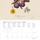 Schriftzug "Perdrigon normand" in eleganter Schrift. Illustration zeigt Pflaumen an einem Zweig mit grünen Blättern. Darunter August 2027 Kalender.