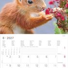 Kalender für August 2027. Ein rotes Eichhörnchen, das an roten Blüten schnuppert.