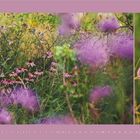 Text: "Juli 2027". Naturlandschaft mit violetten Blumen und Gräsern. Ein großes, nahes Blütenbild rechts.