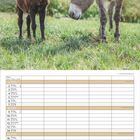 Kalenderseite für August. Foto von zwei Eseln auf einer grünen Wiese oben. Unten eine Tabelle mit Tagen und Wochen.