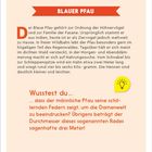 Der Text handelt vom Blauen Pfau, seiner Herkunft und Lebensweise. Wusstest du: Männchen zeigen schillernde Federn.