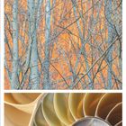 Im unteren Bereich steht "2021" und die Zahlen 1 bis 31. Drei Naturaufnahmen: fließendes Wasser, Bäume und ein Nautilus-Schneckenhaus.