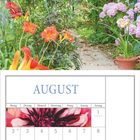 Augustkalender. Woche beginnt mit Montag. Blühende Sommerblumen in einem üppigen Gartenpfad.