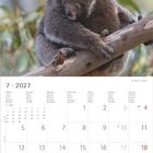 Kalenderseite für Juli 2027. Montag bis Sonntag in mehreren Sprachen. Koala und Junges auf einem Baum.