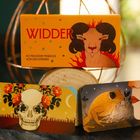 "WIDDER 40 magische Messages von den Sternen" auf gelber Schachtel mit Widderillustration, zwei Karten und Kristallen.