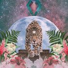 "Jaguar - Confidence, Shining your light, Reaching potential, Self love." Ein Jaguar schreitet vor einem Mond.
