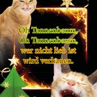 "Oh Tannenbaum, Oh Tannenbaum, wer nicht lieb ist wird verhauen." Zwei Katzen mit Hörnern, goldene Sterne, Tannenbaum.