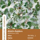 "Allalin-Gabbro, Alter: 164 Mio. J., Tiefe: 93 km, Härte: ●●●●○, Dichte: 3,46 g/cm³, Hochdruck – Metamorphe Gesteine."