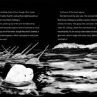 Text beschreibt das Erscheinen von Narwalen und einem Beluga. Illustration zeigt Meer mit Narwalen und einem Beluga im Wasser.