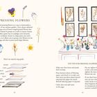 "Pressing Flowers", Anleitungen zum Blumenpressen, bunte Blumenillustrationen, gerahmte gepresste Blumen an der Wand.