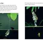 "Archer fish" ist der Titel. Ein Fisch spritzt Wasser, um Insekten zu erbeuten. Wenn nötig, springt er aus dem Wasser.