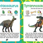 Tsintaosaurus: Späte Kreide, Pflanzenfresser, 8,3 m, China. Tyrannosaurus: Späte Kreide, Fleischfresser, 12 m, Kanada/USA.