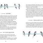 Texte mit Daten und Überschriften: 22 SEPTEMBER | RIVERS, 23 SEPTEMBER | AUTUMN EQUINOX, 24 SEPTEMBER | SWALLOWS ON A WIRE. Aquarell von Schwalben auf einem Draht.