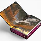 Eine Illustration zeigt ein geöffnetes Buch mit einem reitenden Mann auf einem weißen Wolf. Flammen und Symbole am Buchrücken.