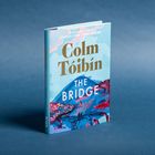 Titel: "The Bridge" von Colm Tóibín. Ein farbenfrohes, malerisches Buchcover mit Landschaft und Brücke.
