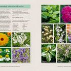 "Recommended selection of herbs." Liste: Kamille, Holunder, Lavendel, Zitronenmelisse, Ringelblume, Mädesüß. Bilder von Blumen.