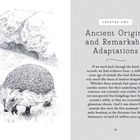 Kapitel Zwei: Ancient Origins and Remarkable Adaptations. Links Stiftzeichnung eines Igels vor einem Busch.