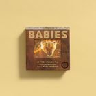 "BABIES" steht groß oben. Eine Illustration zeigt ein Tierbaby. Weitere Texte sind "A PHOTICULAR Book", "Dan Kainen", "Mara Grunbaum".