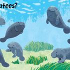 Text: “Seas and seas of manatees? How would you count?” Illustration von zehn fröhlichen Manatees im blauen Wasser.