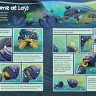 Mehrere Bilder zeigen eine Einsiedlerkrebs-Geschichte. Der Einsiedlerkrebs sucht und wechselt ein neues Schneckenhaus.