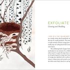 EXFOLIATE: Growing and Shedding. Ein Nest aus orangefarbenen Kiefernnadeln in einem Birkenwald.