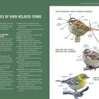 Texte: "GLOSSARIES OF BIRD-RELATED TERMS", "BIRD TOPOGRAPHY", "HEAD AND FACE DETAILS", "WING DETAILS". Illustrationen von Vögeln mit Beschriftungen.